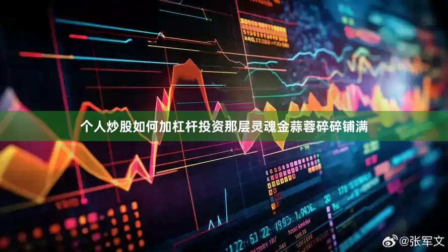 个人炒股如何加杠杆投资那层灵魂金蒜蓉碎碎铺满