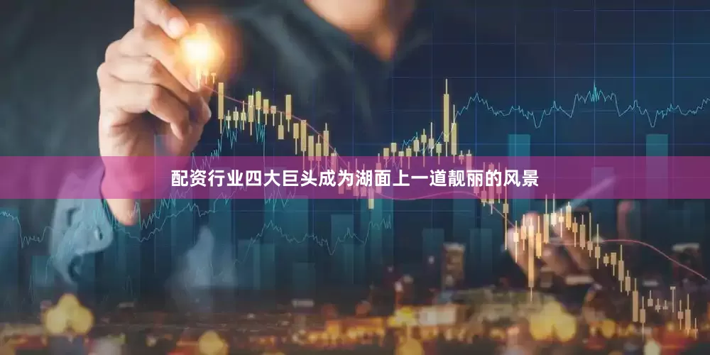配资行业四大巨头成为湖面上一道靓丽的风景