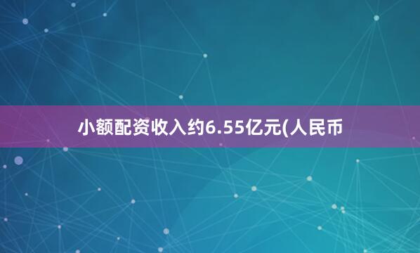 小额配资收入约6.55亿元(人民币