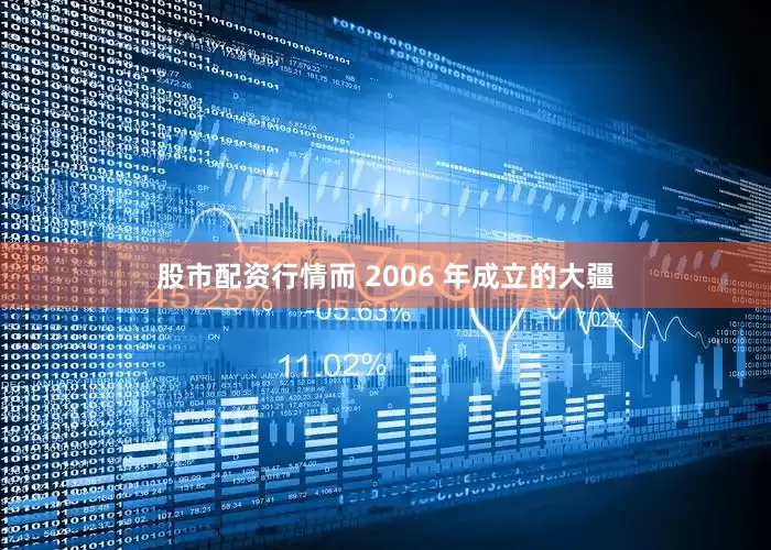 股市配资行情而 2006 年成立的大疆